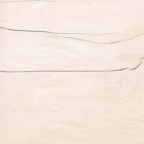 Таксония светлая- ЮГРА