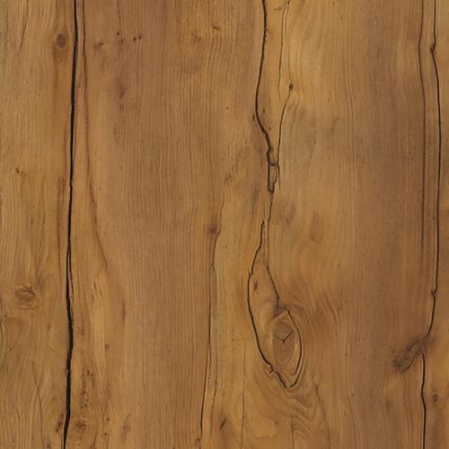 Таксония темная- ЮГРА