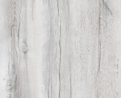 Дуб Канадский