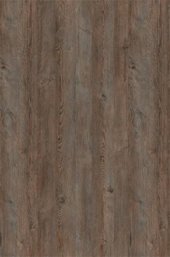 Сосна санторини