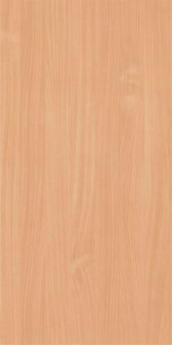 Бук Бавария светлый