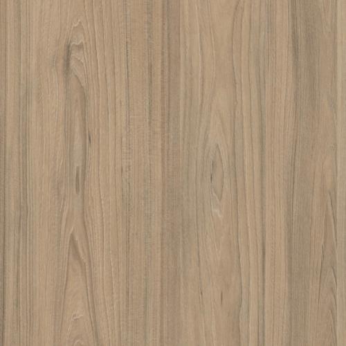 Швейцарский вяз - ЮГРА