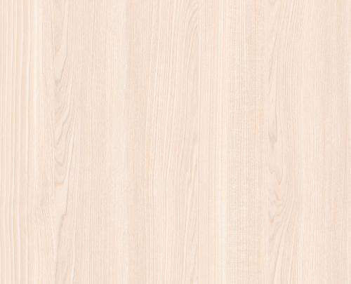 Акация Светлая