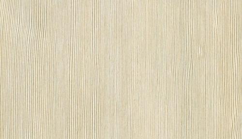 Сосна Лоредо