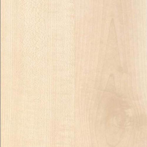 Клен танзау  - ЮГРА