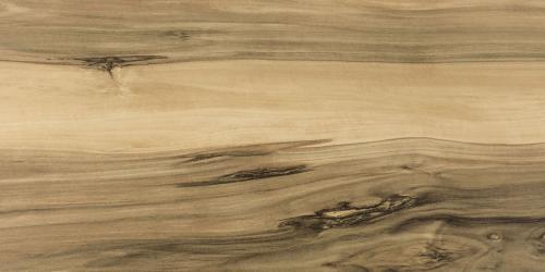 Тис 70008 КЕДР