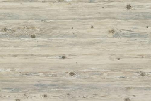 Сосна Осло № 108