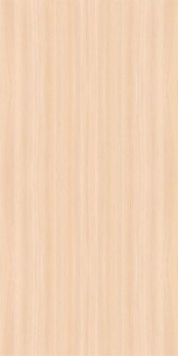 Дуб Молочный