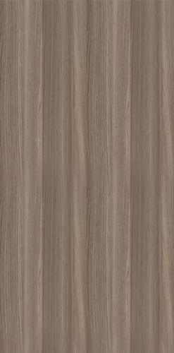 Дуб солсбери