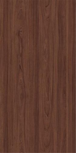 Вяз швейцарский